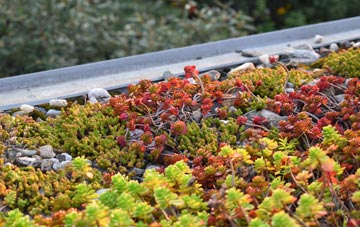 the cost of Tirdeunaw green roof installation