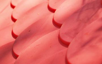 Tirdeunaw plastic roof costs